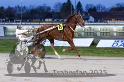 Dateiname=20251130_r06_033_R06_0074.jpg
Dateigröße=277KB
Abmessungen: 1000x667
hinzugefügt am: 07. Dezember 2025 20251130_r06_033_R06_0074.jpg