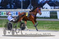 Dateiname=20251130_r06_039_R06_0089.jpg
Dateigröße=274KB
Abmessungen: 1000x667
hinzugefügt am: 07. Dezember 2025 20251130_r06_039_R06_0089.jpg