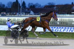 Dateiname=20251130_r06_043_R06_0096.jpg
Dateigröße=264KB
Abmessungen: 1000x667
hinzugefügt am: 07. Dezember 2025 20251130_r06_043_R06_0096.jpg