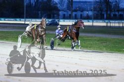 Dateiname=20251130_r06_090_R06_0213.jpg
Dateigröße=258KB
Abmessungen: 1000x667
hinzugefügt am: 07. Dezember 2025 20251130_r06_090_R06_0213.jpg