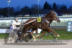 Dateiname=20251130_r06_097_R06_0229.jpg
Dateigröße=277KB
Abmessungen: 1000x667
hinzugefügt am: 07. Dezember 2025 20251130_r06_097_R06_0229.jpg