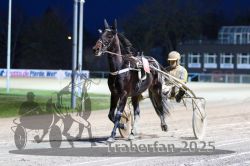 Dateiname=20251130_r07_003_R07_0007.jpg
Dateigröße=265KB
Abmessungen: 1000x667
hinzugefügt am: 07. Dezember 2025 20251130_r07_003_R07_0007.jpg