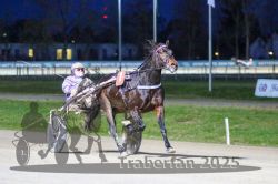 Dateiname=20251130_r07_005_R07_0012.jpg
Dateigröße=271KB
Abmessungen: 1000x667
hinzugefügt am: 07. Dezember 2025 20251130_r07_005_R07_0012.jpg