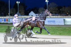 Dateiname=20251130_r07_009_R07_0020.jpg
Dateigröße=277KB
Abmessungen: 1000x667
hinzugefügt am: 07. Dezember 2025 20251130_r07_009_R07_0020.jpg