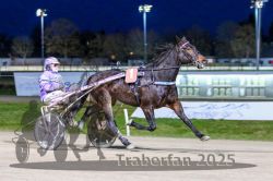 Dateiname=20251130_r07_010_R07_0022.jpg
Dateigröße=280KB
Abmessungen: 1000x667
hinzugefügt am: 07. Dezember 2025 20251130_r07_010_R07_0022.jpg