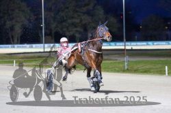 Dateiname=20251130_r07_014_R07_0029.jpg
Dateigröße=260KB
Abmessungen: 1000x667
hinzugefügt am: 07. Dezember 2025 20251130_r07_014_R07_0029.jpg