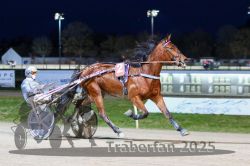 Dateiname=20251130_r07_032_R07_0070.jpg
Dateigröße=268KB
Abmessungen: 1000x667
hinzugefügt am: 07. Dezember 2025 20251130_r07_032_R07_0070.jpg