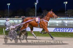 Dateiname=20251130_r07_033_R07_0072.jpg
Dateigröße=274KB
Abmessungen: 1000x667
hinzugefügt am: 07. Dezember 2025 20251130_r07_033_R07_0072.jpg