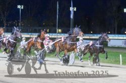 Dateiname=20251130_r07_040_R07_0085.jpg
Dateigröße=299KB
Abmessungen: 1000x667
hinzugefügt am: 07. Dezember 2025 20251130_r07_040_R07_0085.jpg