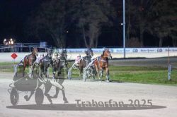 Dateiname=20251130_r07_046_R07_0106.jpg
Dateigröße=260KB
Abmessungen: 1000x667
hinzugefügt am: 07. Dezember 2025 20251130_r07_046_R07_0106.jpg