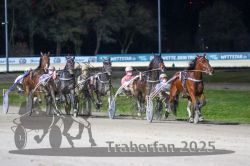 Dateiname=20251130_r07_048_R07_0111.jpg
Dateigröße=279KB
Abmessungen: 1000x667
hinzugefügt am: 07. Dezember 2025 20251130_r07_048_R07_0111.jpg