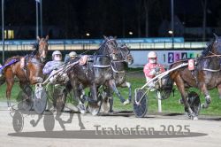 Dateiname=20251130_r07_054_R07_0127.jpg
Dateigröße=319KB
Abmessungen: 1000x667
hinzugefügt am: 07. Dezember 2025 20251130_r07_054_R07_0127.jpg