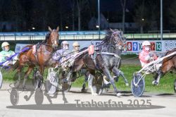 Dateiname=20251130_r07_055_R07_0129.jpg
Dateigröße=327KB
Abmessungen: 1000x667
hinzugefügt am: 07. Dezember 2025 20251130_r07_055_R07_0129.jpg