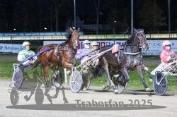 Dateiname=20251130_r07_056_R07_0130.jpg
Dateigröße=313KB
Abmessungen: 1000x667
hinzugefügt am: 07. Dezember 2025 20251130_r07_056_R07_0130.jpg