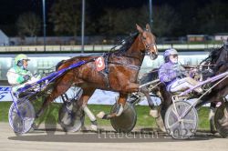 Dateiname=20251130_r07_058_R07_0135.jpg
Dateigröße=322KB
Abmessungen: 1000x667
hinzugefügt am: 07. Dezember 2025 20251130_r07_058_R07_0135.jpg