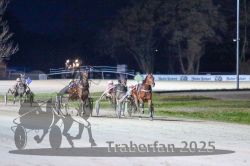 Dateiname=20251130_r07_061_R07_0140.jpg
Dateigröße=266KB
Abmessungen: 1000x667
hinzugefügt am: 07. Dezember 2025 20251130_r07_061_R07_0140.jpg