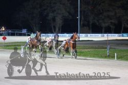 Dateiname=20251130_r07_062_R07_0142.jpg
Dateigröße=240KB
Abmessungen: 1000x667
hinzugefügt am: 07. Dezember 2025 20251130_r07_062_R07_0142.jpg