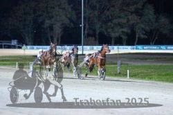 Dateiname=20251130_r07_064_R07_0146.jpg
Dateigröße=266KB
Abmessungen: 1000x667
hinzugefügt am: 07. Dezember 2025 20251130_r07_064_R07_0146.jpg