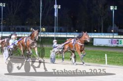 Dateiname=20251130_r07_070_R07_0159.jpg
Dateigröße=280KB
Abmessungen: 1000x667
hinzugefügt am: 07. Dezember 2025 20251130_r07_070_R07_0159.jpg