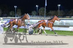 Dateiname=20251130_r07_074_R07_0166.jpg
Dateigröße=284KB
Abmessungen: 1000x667
hinzugefügt am: 07. Dezember 2025 20251130_r07_074_R07_0166.jpg