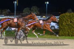 Dateiname=20251130_r07_077_R07_0173.jpg
Dateigröße=277KB
Abmessungen: 1000x667
hinzugefügt am: 07. Dezember 2025 20251130_r07_077_R07_0173.jpg