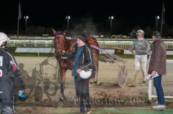 Dateiname=20251130_r07_079_E7D_0168.jpg
Dateigröße=288KB
Abmessungen: 1000x667
hinzugefügt am: 07. Dezember 2025 20251130_r07_079_E7D_0168.jpg