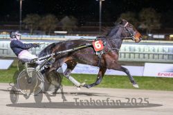 Dateiname=20251130_r08_016_R08_0043.jpg
Dateigröße=268KB
Abmessungen: 1000x667
hinzugefügt am: 07. Dezember 2025 20251130_r08_016_R08_0043.jpg