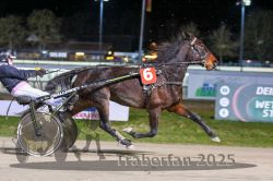 Dateiname=20251130_r08_017_R08_0045.jpg
Dateigröße=278KB
Abmessungen: 1000x667
hinzugefügt am: 07. Dezember 2025 20251130_r08_017_R08_0045.jpg