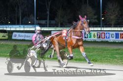 Dateiname=20251130_r08_018_R08_0048.jpg
Dateigröße=276KB
Abmessungen: 1000x667
hinzugefügt am: 07. Dezember 2025 20251130_r08_018_R08_0048.jpg