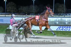 Dateiname=20251130_r08_022_R08_0055.jpg
Dateigröße=276KB
Abmessungen: 1000x667
hinzugefügt am: 07. Dezember 2025 20251130_r08_022_R08_0055.jpg