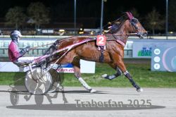 Dateiname=20251130_r08_025_R08_0061.jpg
Dateigröße=286KB
Abmessungen: 1000x667
hinzugefügt am: 07. Dezember 2025 20251130_r08_025_R08_0061.jpg