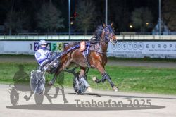 Dateiname=20251130_r08_026_R08_0064.jpg
Dateigröße=278KB
Abmessungen: 1000x667
hinzugefügt am: 07. Dezember 2025 20251130_r08_026_R08_0064.jpg