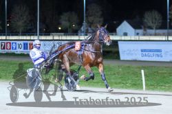 Dateiname=20251130_r08_027_R08_0066.jpg
Dateigröße=281KB
Abmessungen: 1000x667
hinzugefügt am: 07. Dezember 2025 20251130_r08_027_R08_0066.jpg