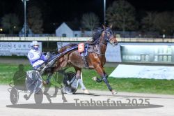 Dateiname=20251130_r08_028_R08_0068.jpg
Dateigröße=268KB
Abmessungen: 1000x667
hinzugefügt am: 07. Dezember 2025 20251130_r08_028_R08_0068.jpg