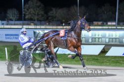 Dateiname=20251130_r08_029_R08_0070.jpg
Dateigröße=277KB
Abmessungen: 1000x667
hinzugefügt am: 07. Dezember 2025 20251130_r08_029_R08_0070.jpg