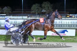 Dateiname=20251130_r08_032_R08_0077.jpg
Dateigröße=288KB
Abmessungen: 1000x667
hinzugefügt am: 07. Dezember 2025 20251130_r08_032_R08_0077.jpg