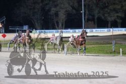 Dateiname=20251130_r08_074_R08_0177.jpg
Dateigröße=257KB
Abmessungen: 1000x667
hinzugefügt am: 07. Dezember 2025 20251130_r08_074_R08_0177.jpg