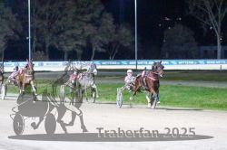 Dateiname=20251130_r08_076_R08_0181.jpg
Dateigröße=269KB
Abmessungen: 1000x667
hinzugefügt am: 07. Dezember 2025 20251130_r08_076_R08_0181.jpg