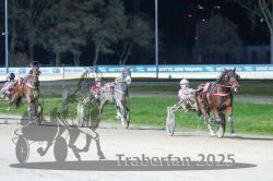 Dateiname=20251130_r08_077_R08_0183.jpg
Dateigröße=275KB
Abmessungen: 1000x667
hinzugefügt am: 07. Dezember 2025 20251130_r08_077_R08_0183.jpg