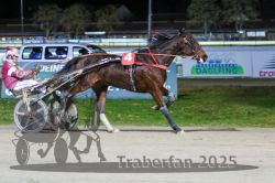 Dateiname=20251130_r08_081_R08_0188.jpg
Dateigröße=270KB
Abmessungen: 1000x667
hinzugefügt am: 07. Dezember 2025 20251130_r08_081_R08_0188.jpg