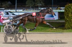 Dateiname=20251130_r08_082_R08_0189.jpg
Dateigröße=278KB
Abmessungen: 1000x667
hinzugefügt am: 07. Dezember 2025 20251130_r08_082_R08_0189.jpg