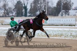 Dateiname=20251226_r02_016_R02_0078.jpg
Dateigröße=248KB
Abmessungen: 1000x667
hinzugefügt am: 27. Dezember 2025 20251226_r02_016_R02_0078.jpg