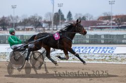 Dateiname=20251226_r02_020_R02_0090.jpg
Dateigröße=249KB
Abmessungen: 1000x667
hinzugefügt am: 27. Dezember 2025 20251226_r02_020_R02_0090.jpg