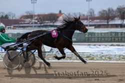 Dateiname=20251226_r02_021_R02_0094.jpg
Dateigröße=240KB
Abmessungen: 1000x667
hinzugefügt am: 27. Dezember 2025 20251226_r02_021_R02_0094.jpg