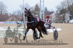 Dateiname=20251226_r02_023_R02_0107.jpg
Dateigröße=239KB
Abmessungen: 1000x667
hinzugefügt am: 27. Dezember 2025 20251226_r02_023_R02_0107.jpg