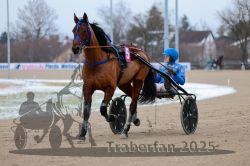 Dateiname=20251226_r02_024_R02_0116.jpg
Dateigröße=250KB
Abmessungen: 1000x667
hinzugefügt am: 27. Dezember 2025 20251226_r02_024_R02_0116.jpg