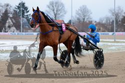 Dateiname=20251226_r02_025_R02_0124.jpg
Dateigröße=270KB
Abmessungen: 1000x667
hinzugefügt am: 27. Dezember 2025 20251226_r02_025_R02_0124.jpg