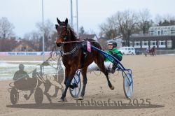 Dateiname=20251226_r02_026_R02_0135.jpg
Dateigröße=249KB
Abmessungen: 1000x667
hinzugefügt am: 27. Dezember 2025 20251226_r02_026_R02_0135.jpg