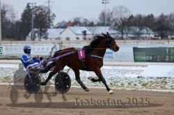 Dateiname=20251226_r02_034_R02_0174.jpg
Dateigröße=249KB
Abmessungen: 1000x667
hinzugefügt am: 27. Dezember 2025 20251226_r02_034_R02_0174.jpg