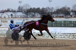 Dateiname=20251226_r02_035_R02_0177.jpg
Dateigröße=243KB
Abmessungen: 1000x667
hinzugefügt am: 27. Dezember 2025 20251226_r02_035_R02_0177.jpg